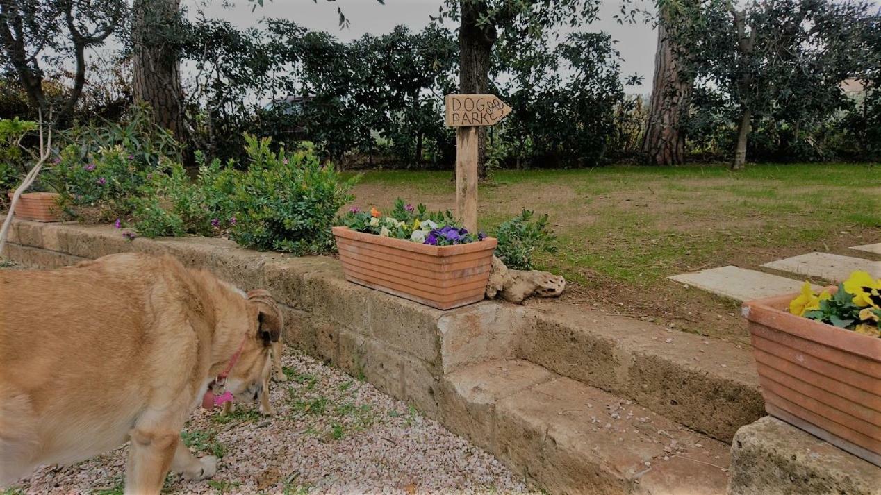 La Stanza Del Podere Isabella Otel San Vincenzo Dış mekan fotoğraf
